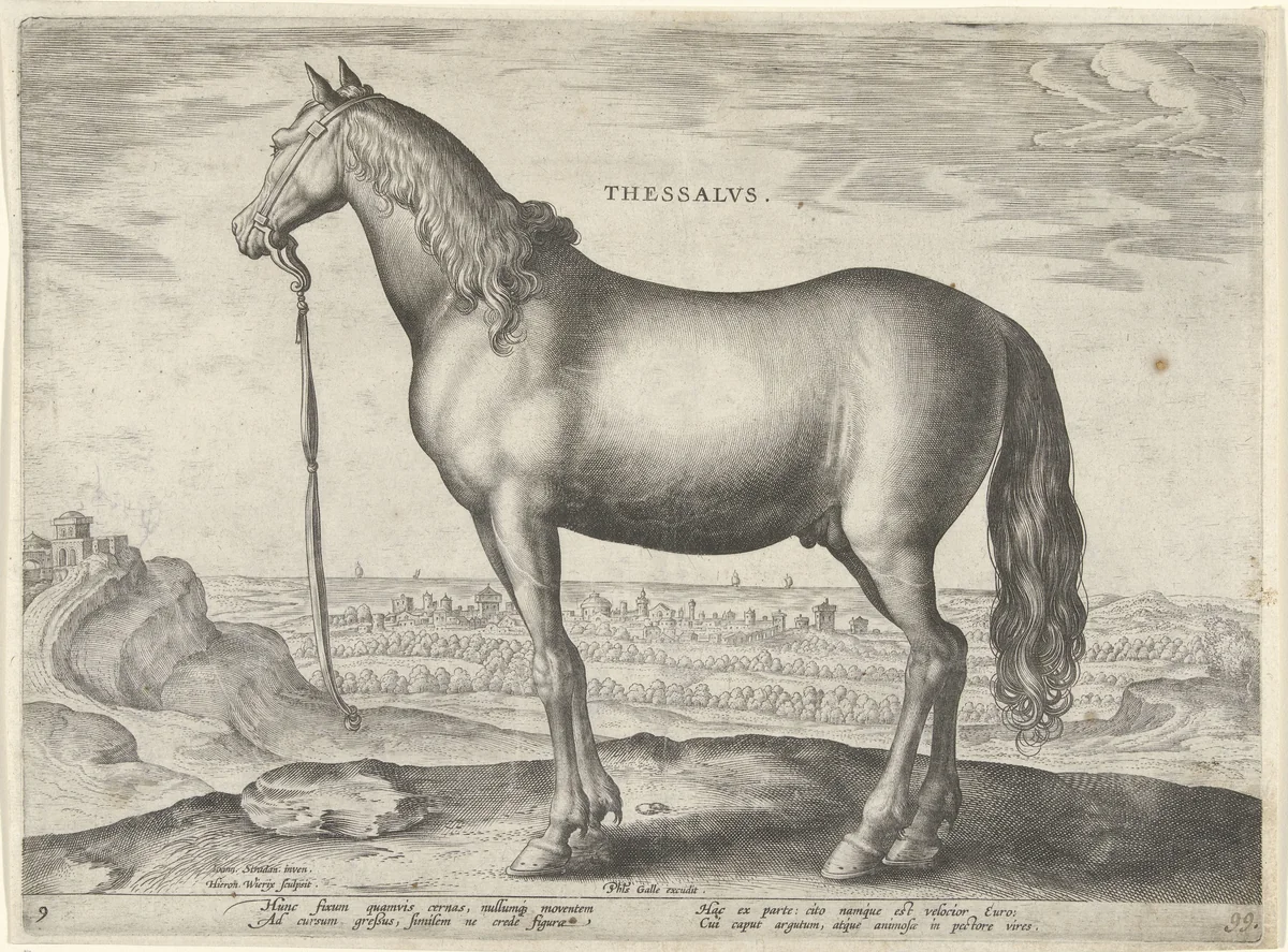 Paard uit Thessalië (Thessalus) by Unknown, print, 1583-1587