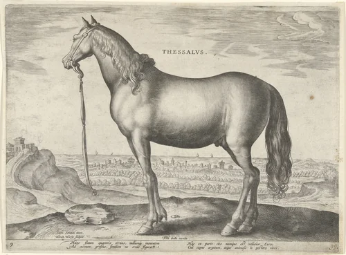 Paard uit Thessalië (Thessalus) by Unknown, print, 1583-1587