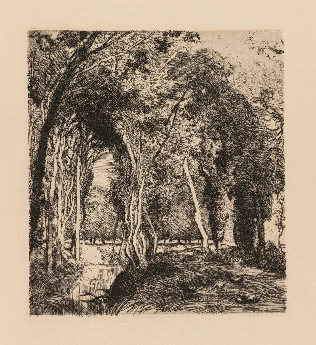 Auguste Lepère: Sous bois, à la Rigonette (Vendèe) by Auguste Louis Lepère, book, 1926-1936