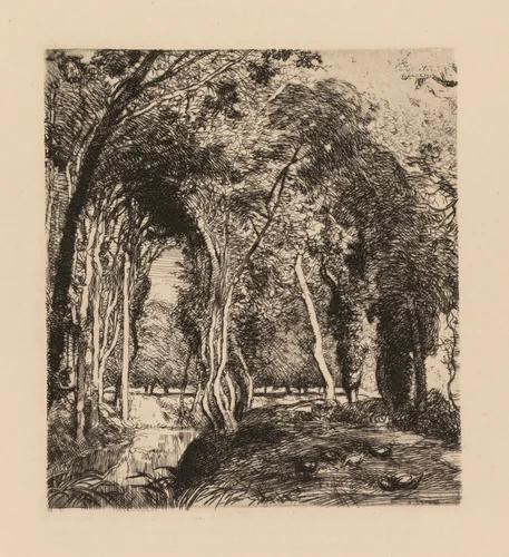 Auguste Lepère: Sous bois, à la Rigonette (Vendèe) by Auguste Louis Lepère, book, 1926-1936
