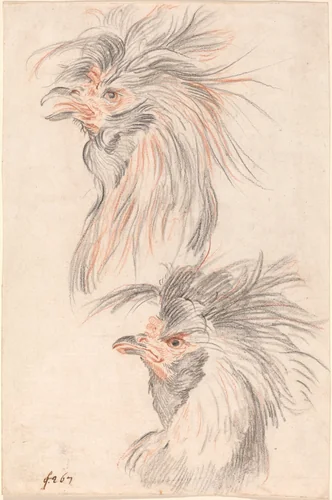 Fighting Cock by Johann Rudolph Schellenberg, drawing, 1775