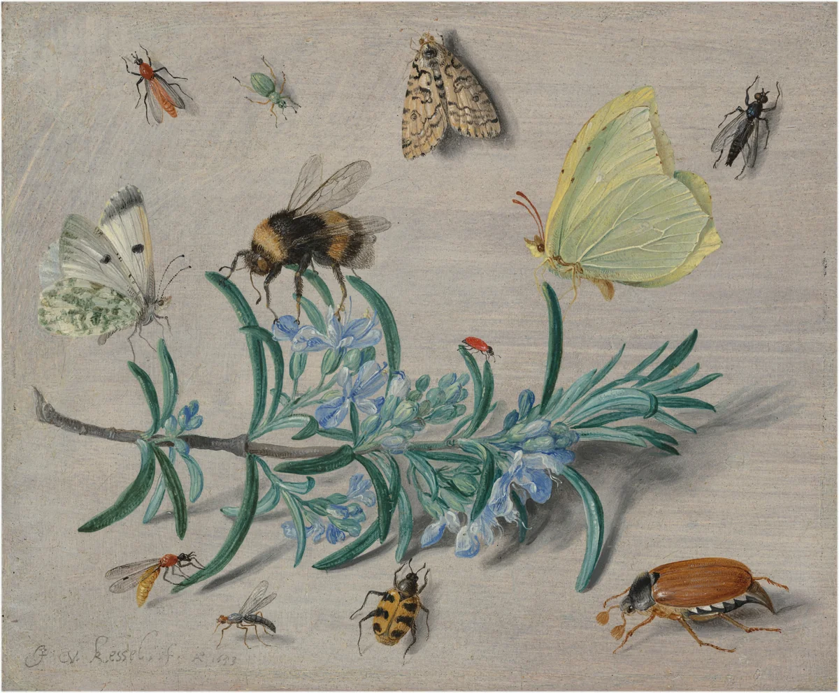 Insects and a Sprig of Rosemary by Jan van Kessel, painting, 1653