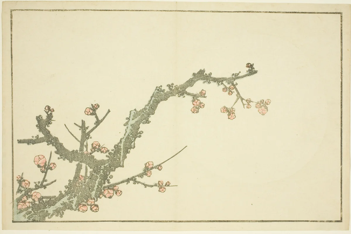 Blooming Plum Tree, from The Picture Book of Realistic Paintings of Hokusai (Hokusai shashin gafu) by Katsushika Hokusai (葛飾 北斎), print, 1809-1819