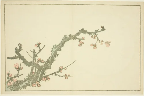 Blooming Plum Tree, from The Picture Book of Realistic Paintings of Hokusai (Hokusai shashin gafu) by Katsushika Hokusai (葛飾 北斎), print, 1809-1819