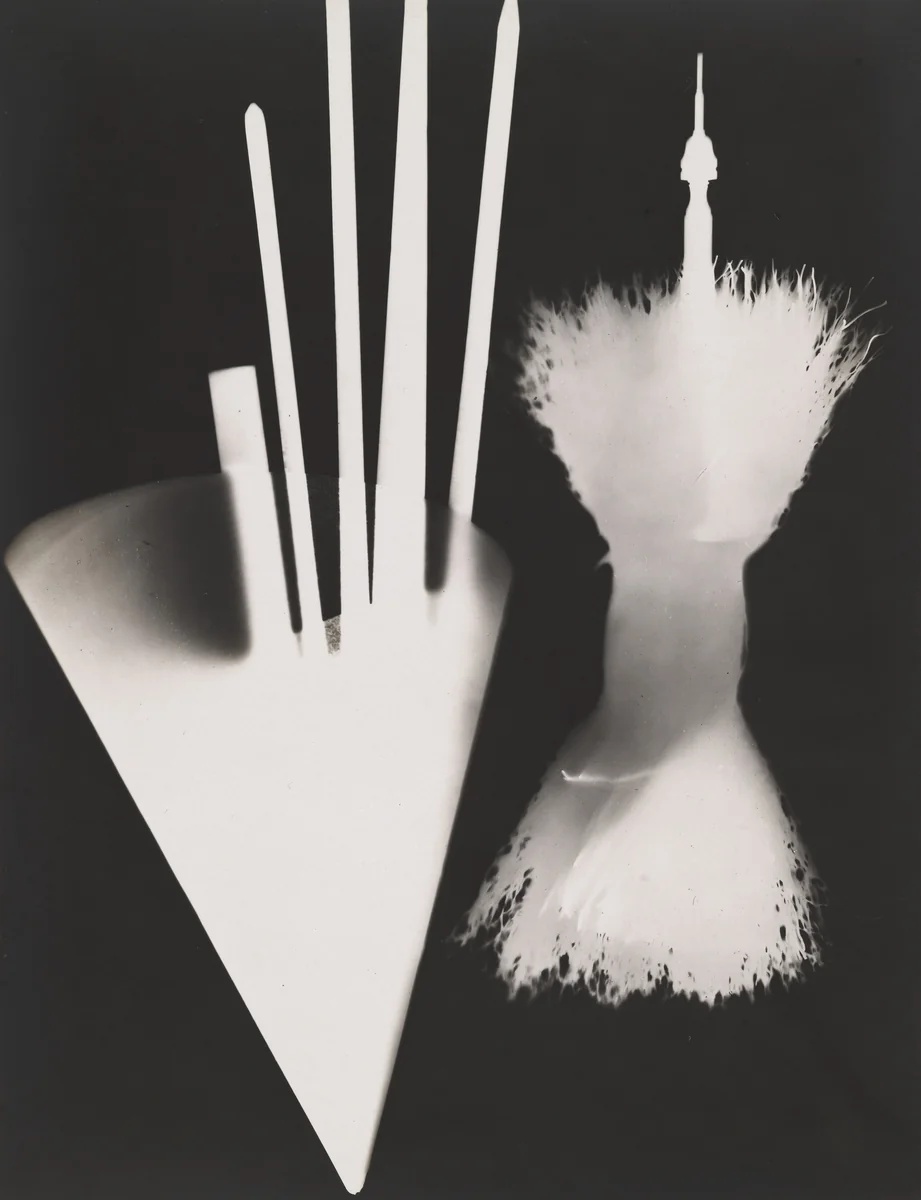 Untitled (plate 6) from the album Champs Délicieux by Man Ray, photograph, 1922