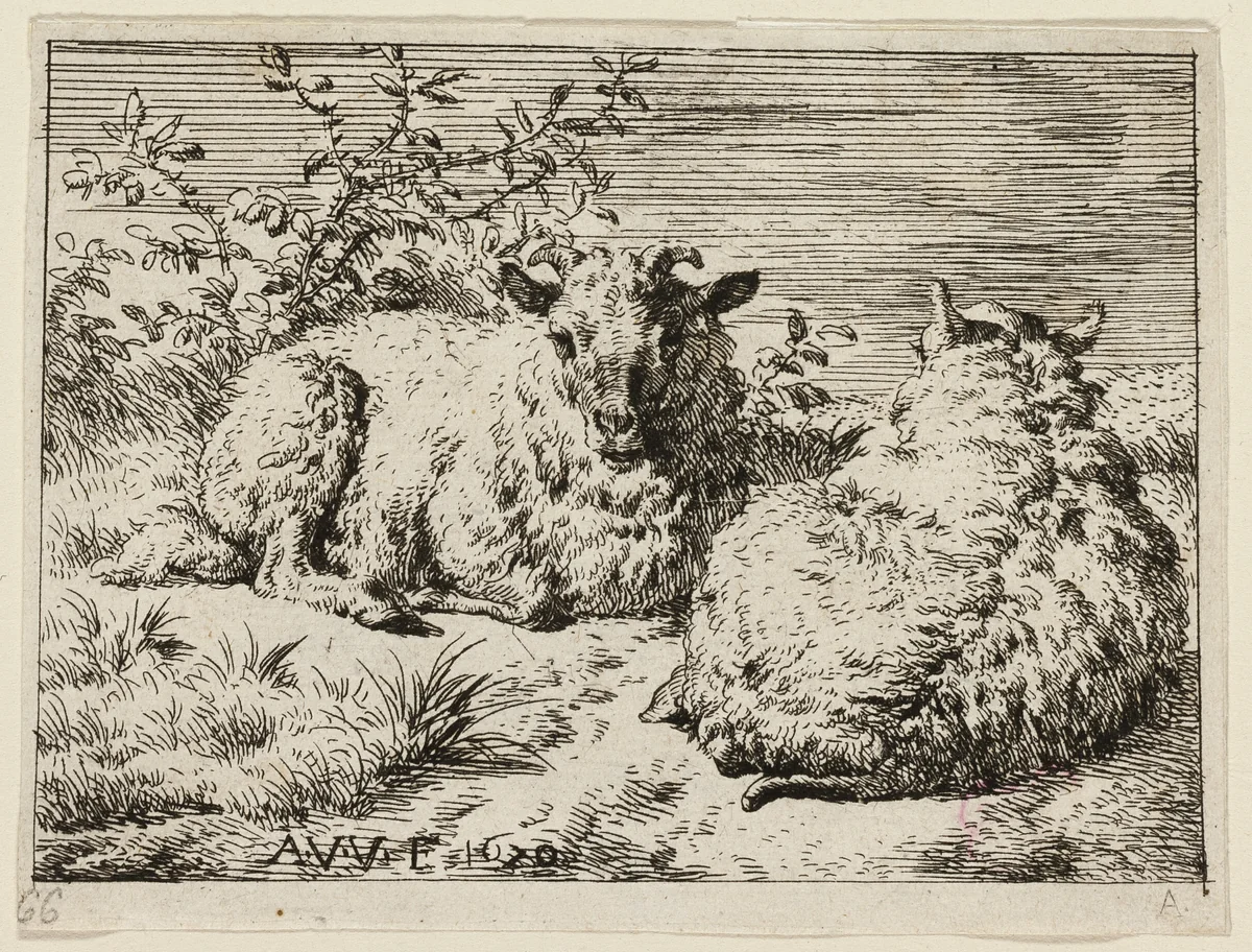 Two Sheep by Adriaen van de Velde, print, 1656-1672
