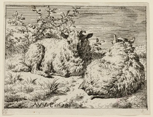 Two Sheep by Adriaen van de Velde, print, 1656-1672
