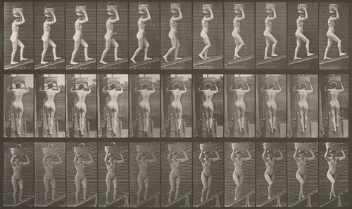 Plate Number 80. Ascending an incline with a 20-lb. basket on head by Eadweard Muybridge, photograph, 1887