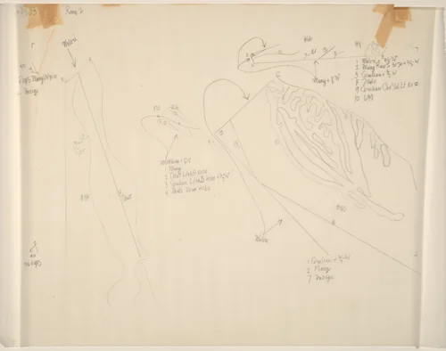 Drawing for Changes and Disappearances No. 33 by John Cage, drawing, 1979-1982