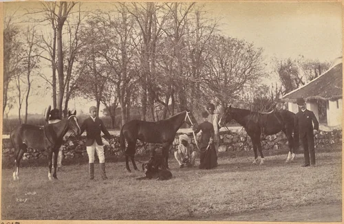 Captain Brown's horses, Jhansi (recto, top) by Raja Deen Dayal, photograph, 1877-1892