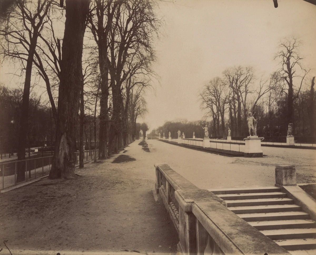 Parc de Saint-Cloud by Eugène Atget, photograph, 1915