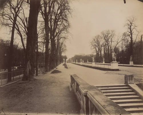 Parc de Saint-Cloud by Eugène Atget, photograph, 1915