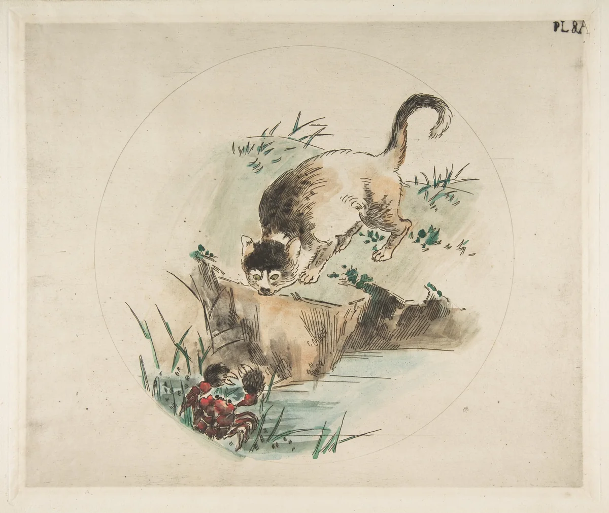 Decoration for a Plate: A Cat Hunting a Crab by Félix Bracquemond, print, 1850-1914