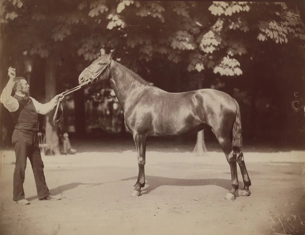 Untitled by Eugène Atget, photograph, 1900