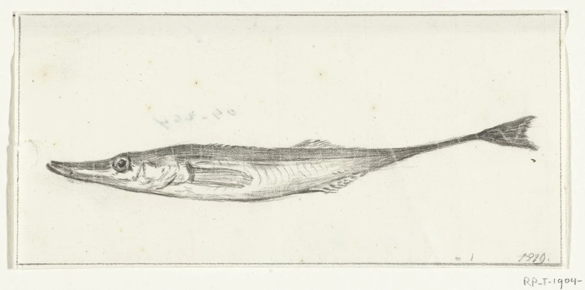 Vis by Jean Bernard, drawing, 1819