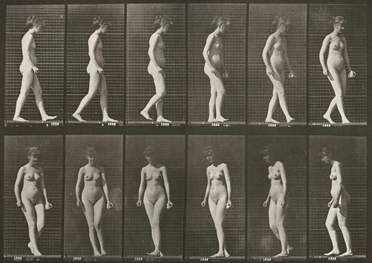 Plate Number 47. Walking and turning around by Eadweard Muybridge, photograph, 1887