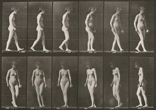 Plate Number 47. Walking and turning around by Eadweard Muybridge, photograph, 1887