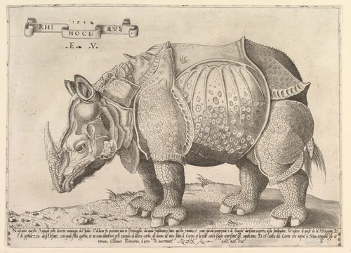 Rhinoceros by Enea Vico, print, 1542