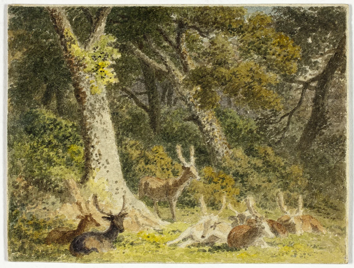 Deer Herd Resting by Robert Hills, painting, 1789-1844