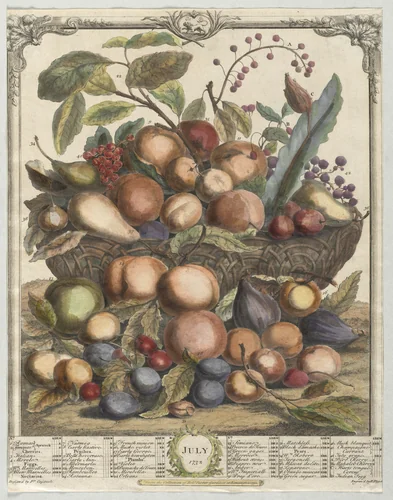 Twelve Months of Fruit: July by Henry Fletcher, print, 1732