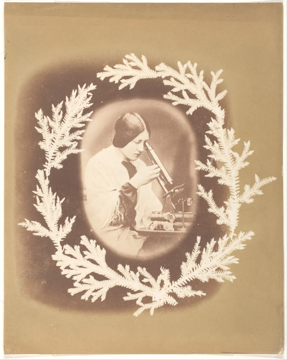 [Thereza Dillwyn Llewelyn with Her Microscope] by John Dillwyn Llewelyn, photograph, 1852-1856
