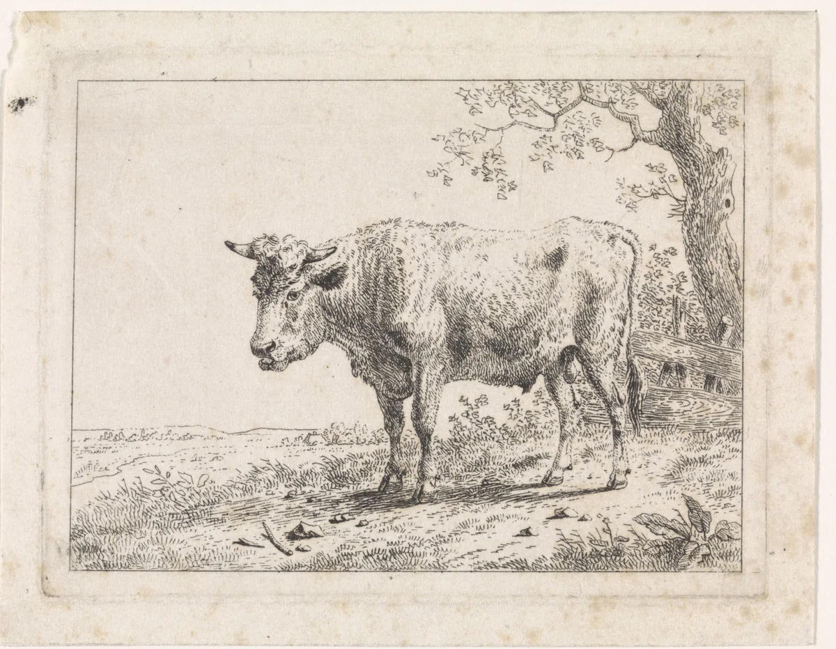 Landschap met stier by Dirk van Oosterhoudt, print, 1766-1830