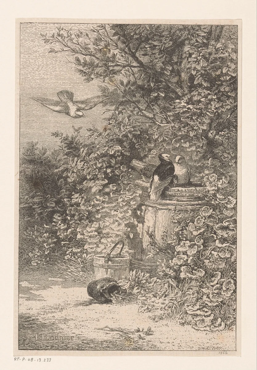 Vogels bij een regenton in het struikgewas by Karl Bodmer, print, 1866