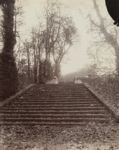 Saint-Cloud by Eugène Atget, photograph, 1906