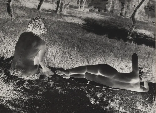 Nudes on the Grass by László Moholy-Nagy, photograph, 1929