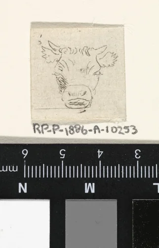 Kalfskop, van voren by Pieter Janson, print, 1780-1851