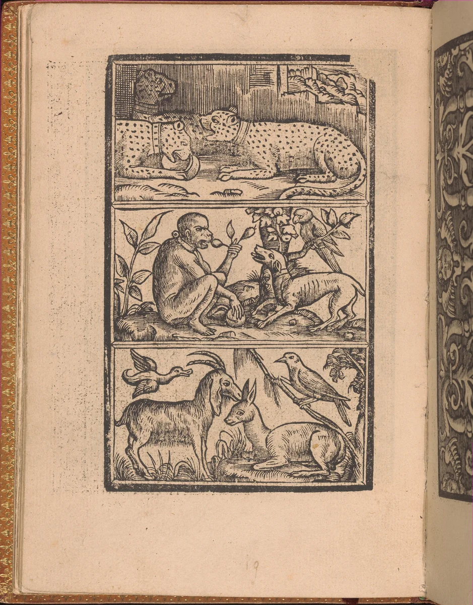 Convivio delle Belle Donne, page 11 (verso) by Nicolò Zoppino, book, 1532