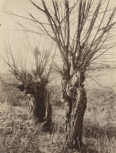 Saules by Eugène Atget, photograph, 1921