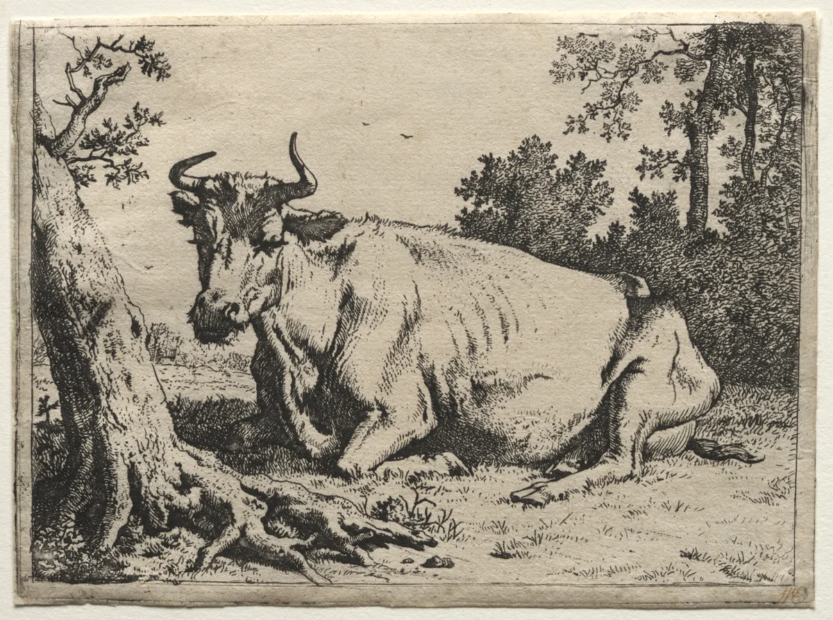 The cow lying down near a tree by Paulus Potter, print
