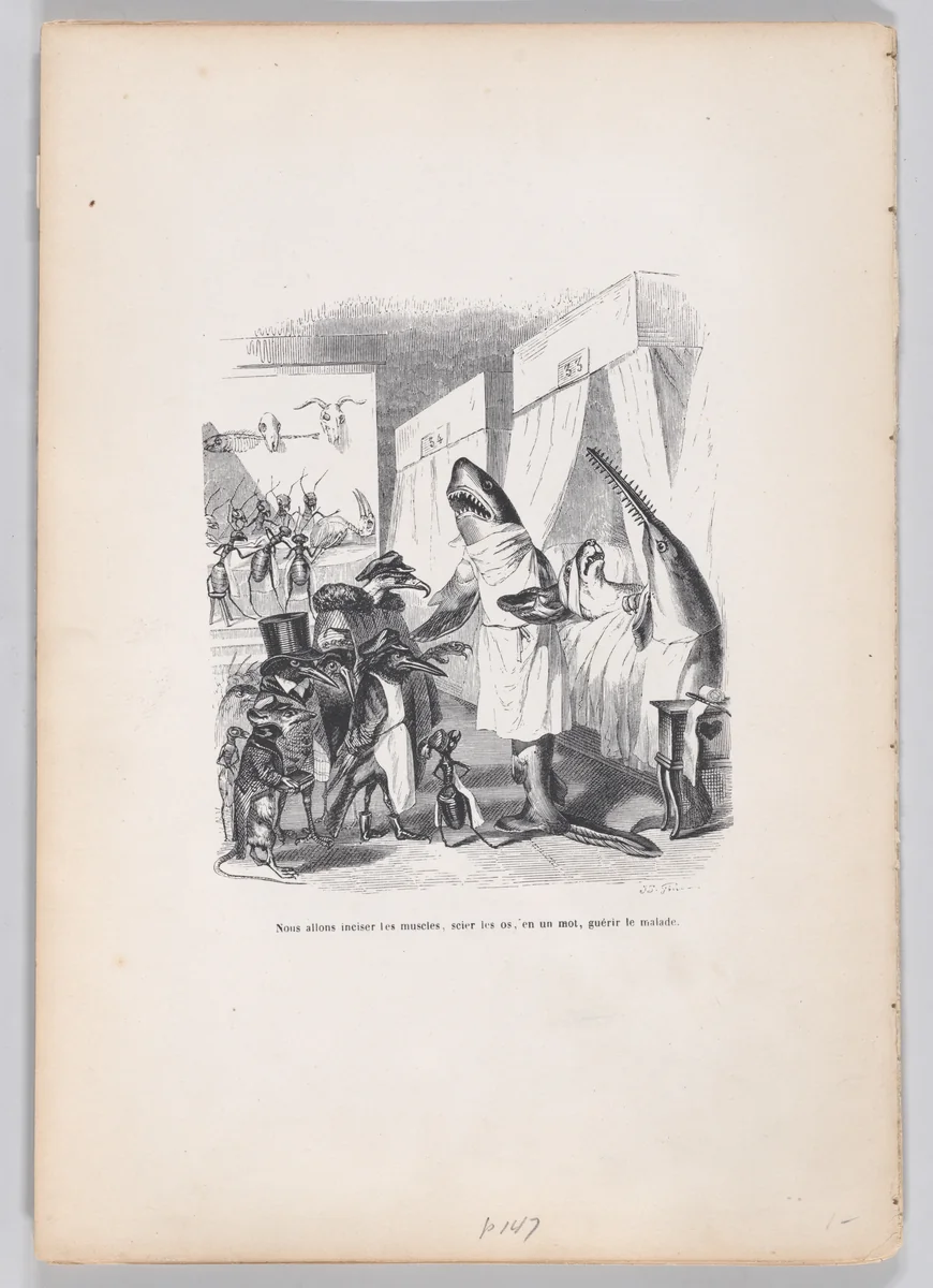 We are going to incise the muscles, saw the bones, in a word, heal the sick, from "Scenes from the Private and Public Life of Animals" by J. J. Grandville, print, 1832-1852