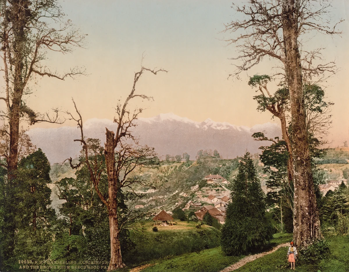 Darjeeling. Kinchinjunga and the Snows from Beechwood Park by Photoglob Co., photograph, 1890
