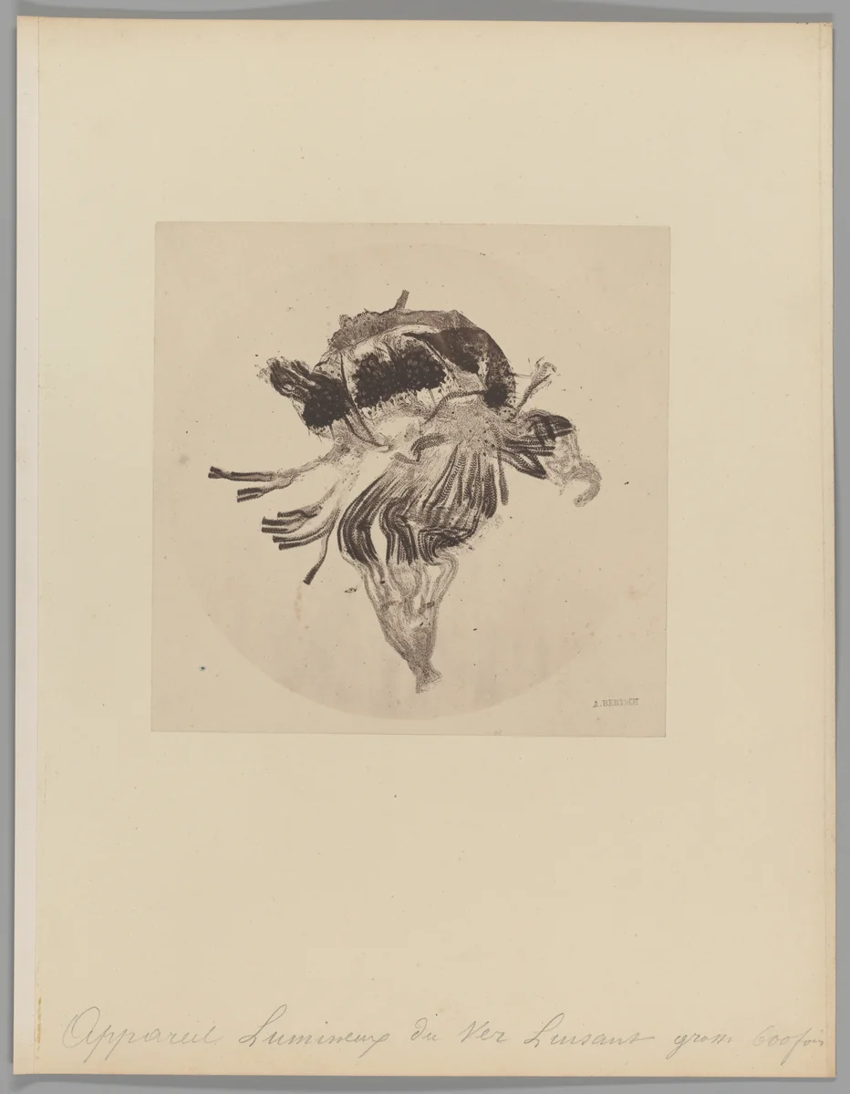 [Untitled] by Auguste-Adolphe Bertsch, photograph, 1853-1857