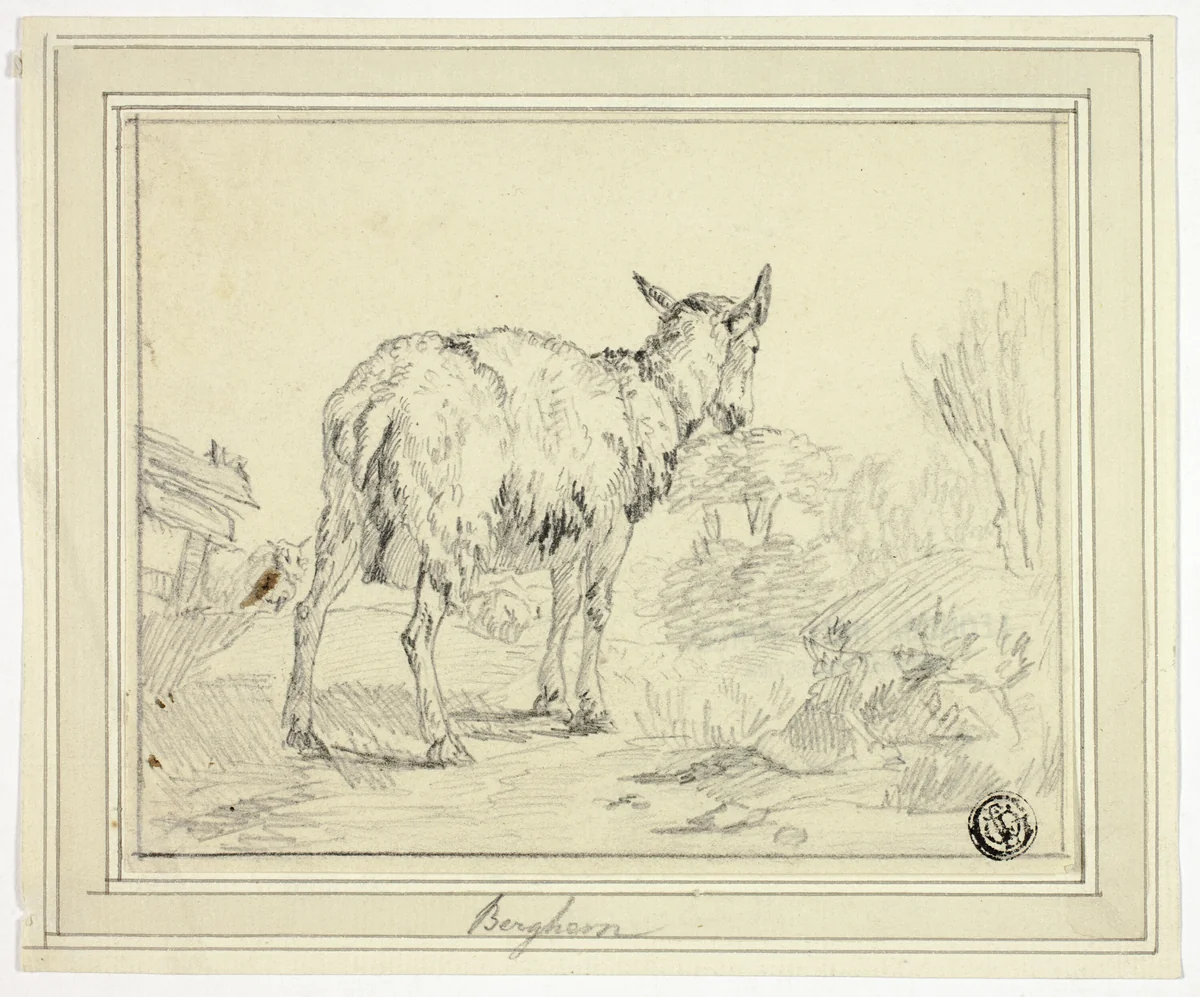 Goat by Nicolaes Pietersz Berchem, drawing, 1640-1683
