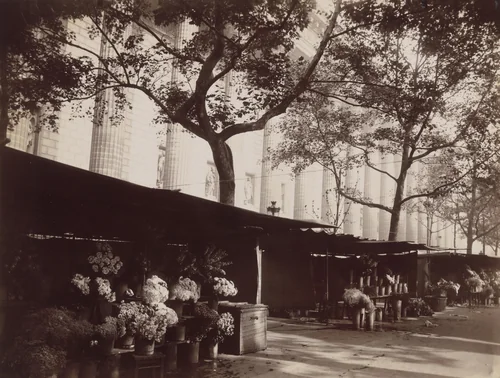 Marché de La Madeleine by Eugène Atget, photograph, 1926