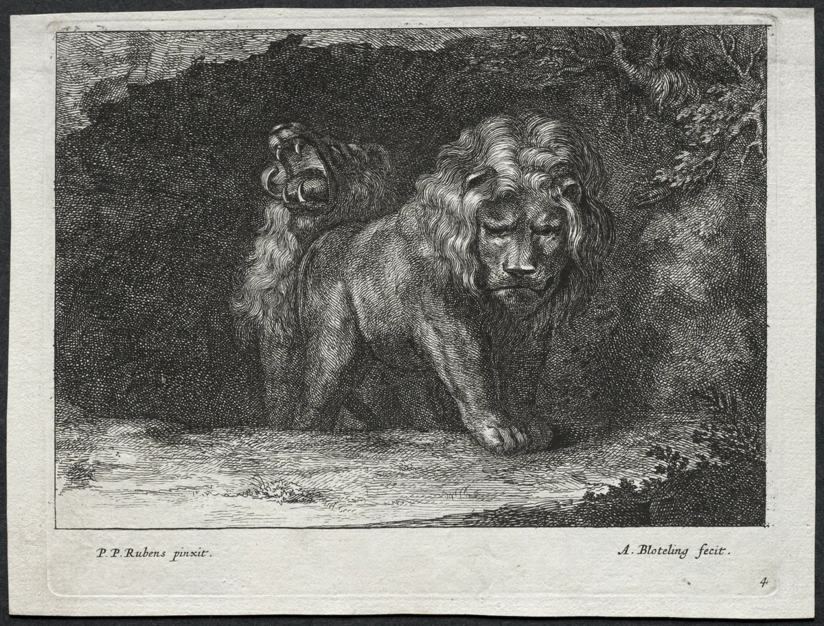 Various Lions by Abraham Blooteling, print, 1655-1690