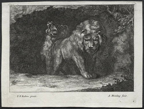 Various Lions by Abraham Blooteling, print, 1655-1690
