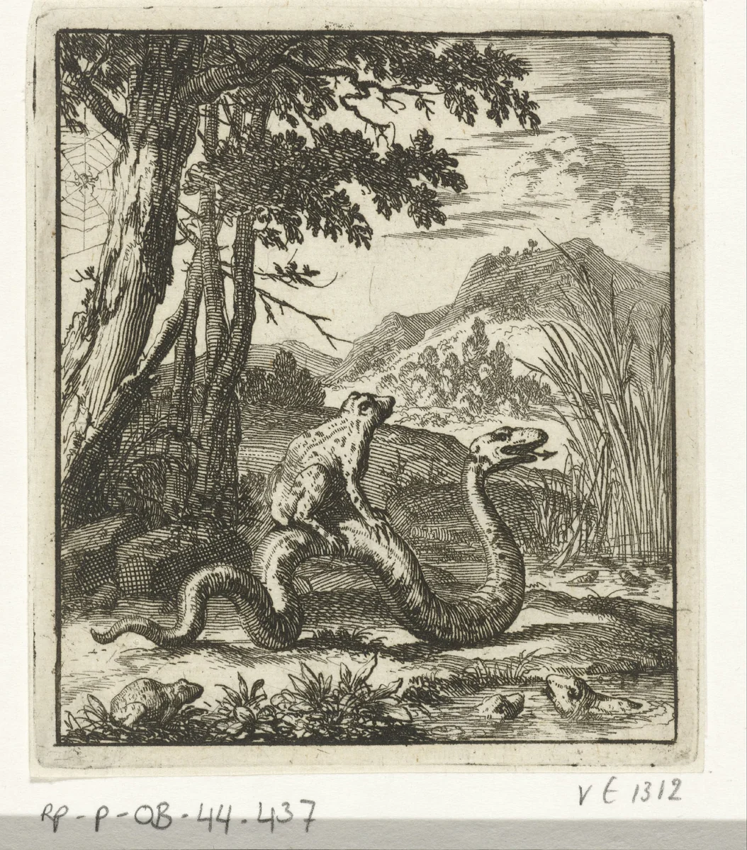 Kikker zittend op de rug van een slang by Jan Luyken, print, 1693