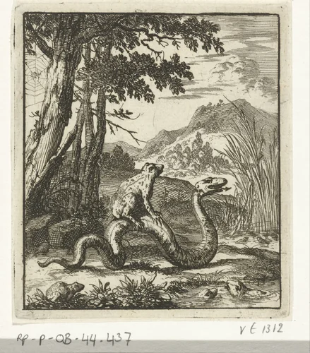 Kikker zittend op de rug van een slang by Jan Luyken, print, 1693