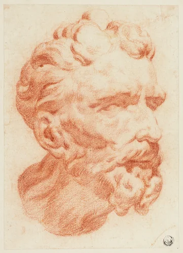 Head of Bearded Man in Three-Quarter Profile to Right by Pietro Dandini, drawing, 1666-1712