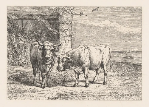 Bulls, from "Eaux-Fortes Animaux & Paysages" by Karl Bodmer, print, 1855-1865