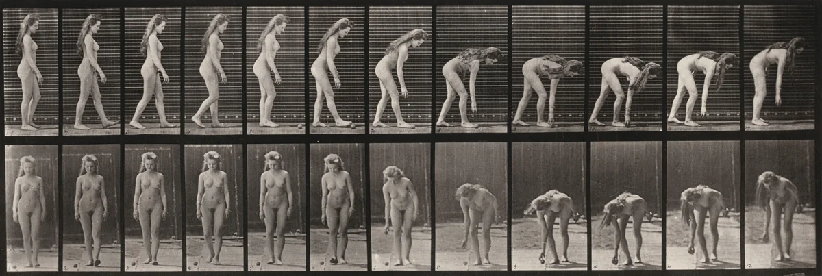 Plate Number 204. Stooping to pick up a ball by Eadweard Muybridge, photograph, 1887