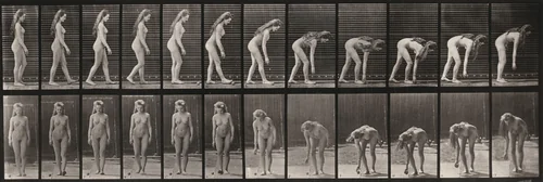 Plate Number 204. Stooping to pick up a ball by Eadweard Muybridge, photograph, 1887