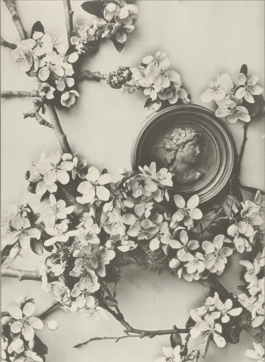 Page from Festons und Dekorative Gruppen by Unidentified Photographer, photograph, 1893