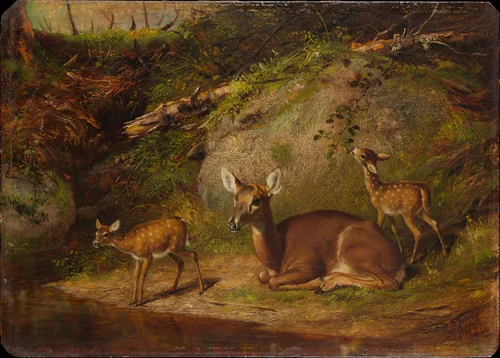 Doe and Two Fawns by Arthur Fitzwilliam Tait, artwork, 1882