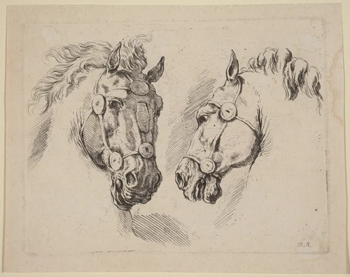 Two Horse Heads by Stefano della Bella, print, 1649