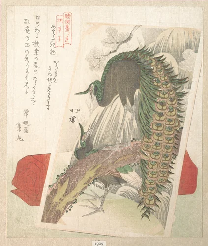 Painting of Peacocks, Pines, a Waterfall, and a Roll of Red Fabric by Totoya Hokkei (魚屋北渓), print, 1808-1828
